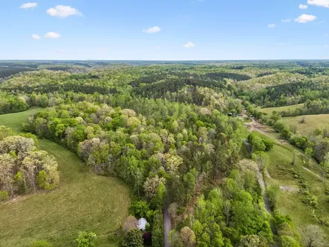 1 Pleasant Ridge Road Goodspring TN 38460