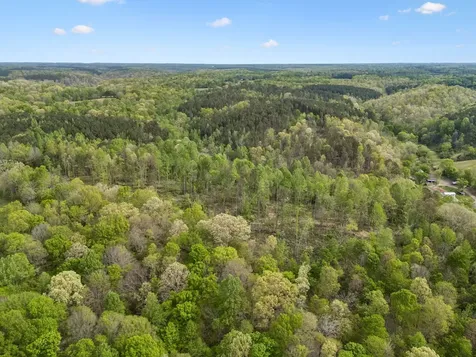 1 Pleasant Ridge Road Goodspring TN 38460