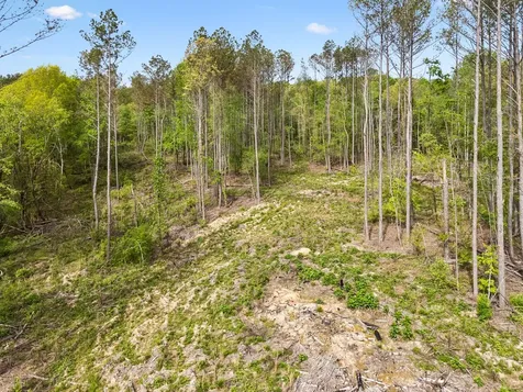 1 Pleasant Ridge Road Goodspring TN 38460