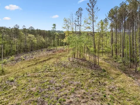 1 Pleasant Ridge Road Goodspring TN 38460