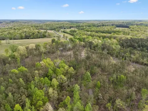 1 Pleasant Ridge Road Goodspring TN 38460