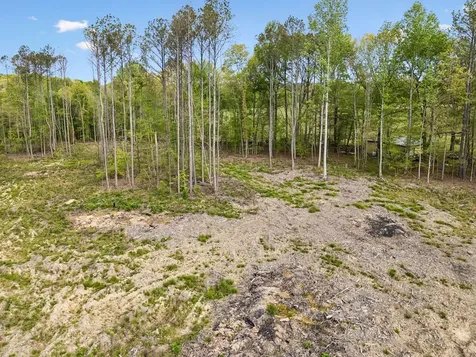 1 Pleasant Ridge Road Goodspring TN 38460