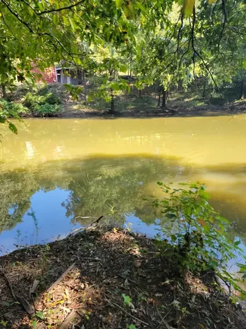 0 Shirley Bates Road Clifton TN 38425