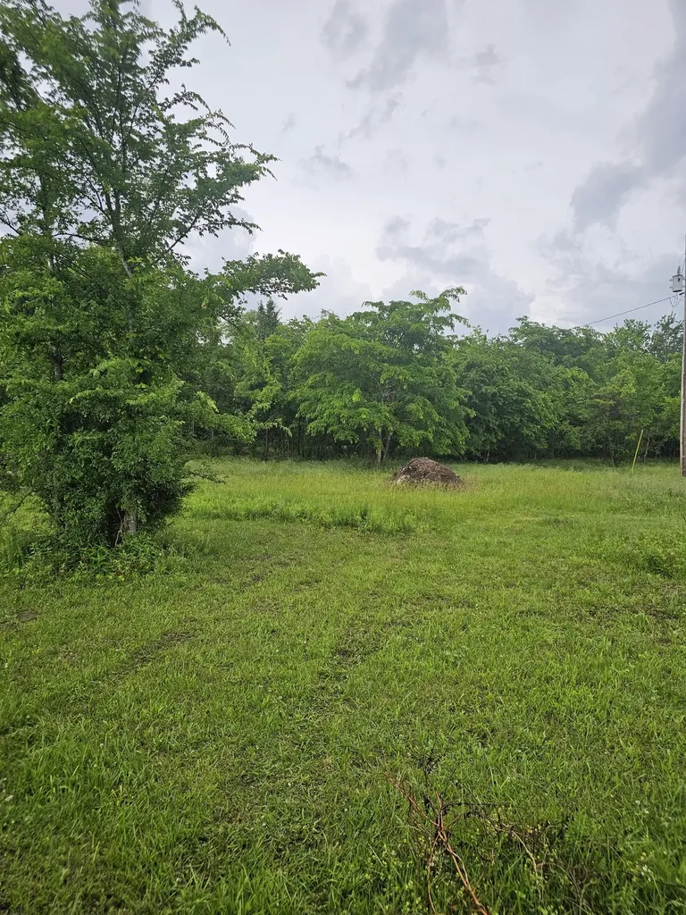 2385 Unionville Deason Road Bell Buckle TN 37020