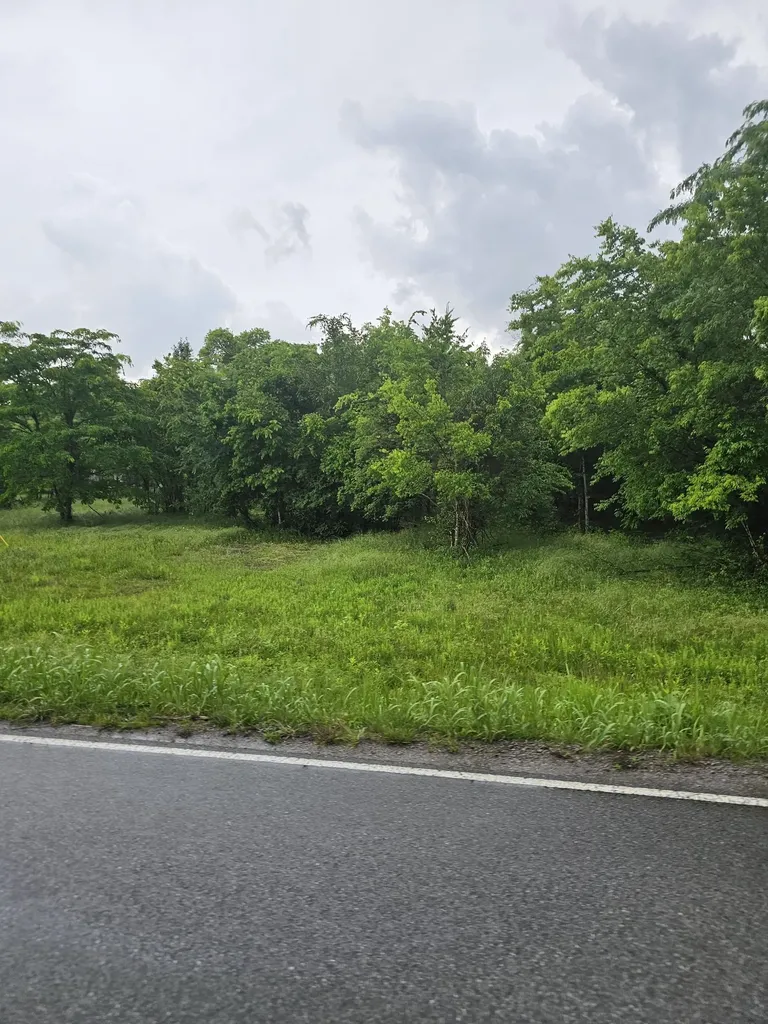 2385 Unionville Deason Road Bell Buckle TN 37020