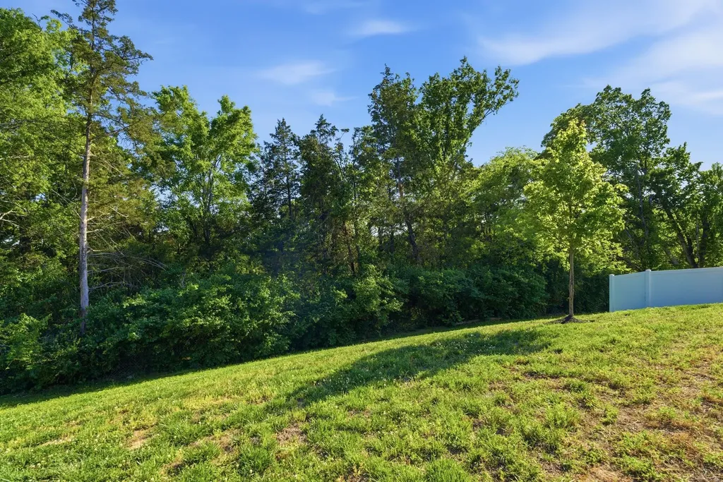 7036 Evans Hill Way Hermitage TN 37076