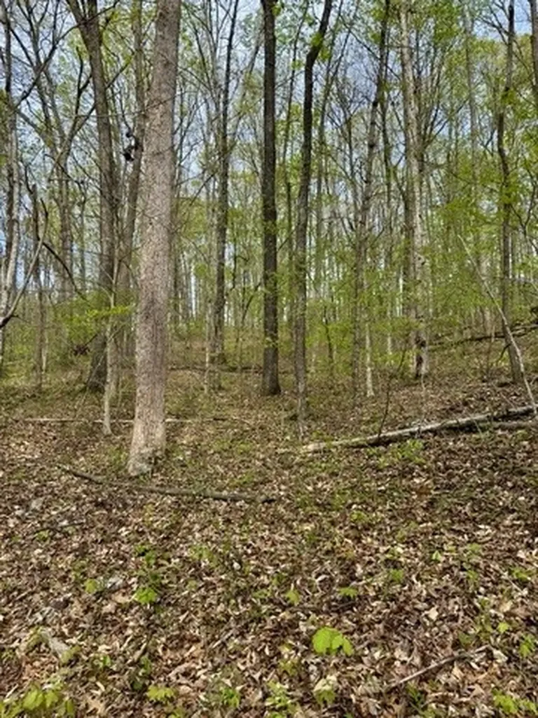 1 Lay Hollow Road Sharps Chapel TN 37866