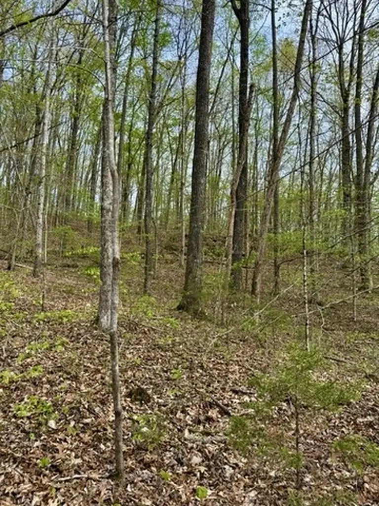 1 Lay Hollow Road Sharps Chapel TN 37866
