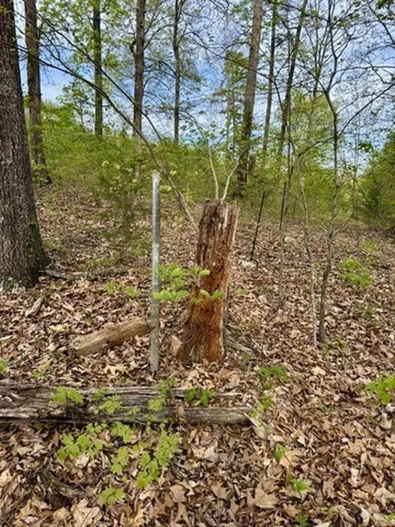 1 Lay Hollow Road Sharps Chapel TN 37866