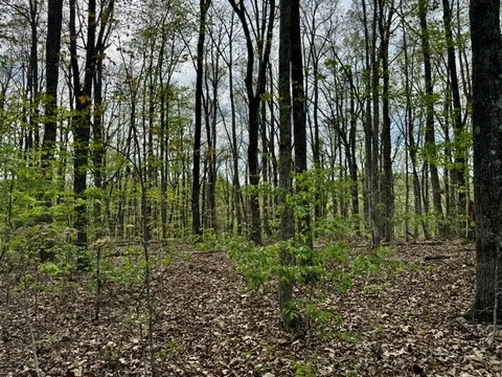 1 Lay Hollow Road Sharps Chapel TN 37866