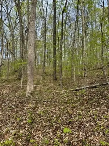1 Lay Hollow Road Sharps Chapel TN 37866