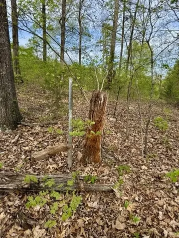 1 Lay Hollow Road Sharps Chapel TN 37866