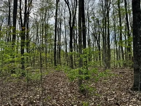 1 Lay Hollow Road Sharps Chapel TN 37866