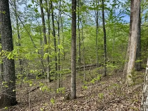 1 Lay Hollow Road Sharps Chapel TN 37866