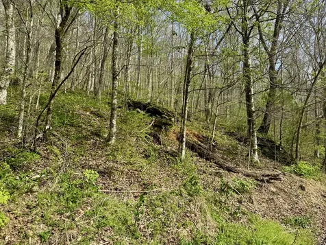 1 Lay Hollow Road Sharps Chapel TN 37866
