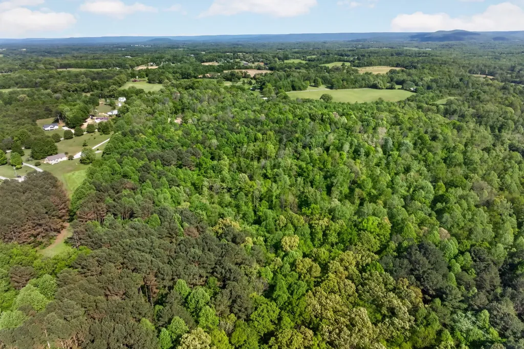 24 Timber Lane Mc Minnville TN 37110