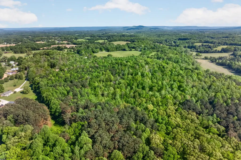 24 Timber Lane Mc Minnville TN 37110