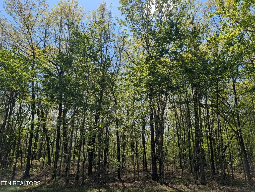 0 Cumberland Lakes Drive Monterey TN 38574