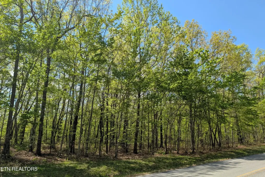 0 Cumberland Lakes Drive Monterey TN 38574