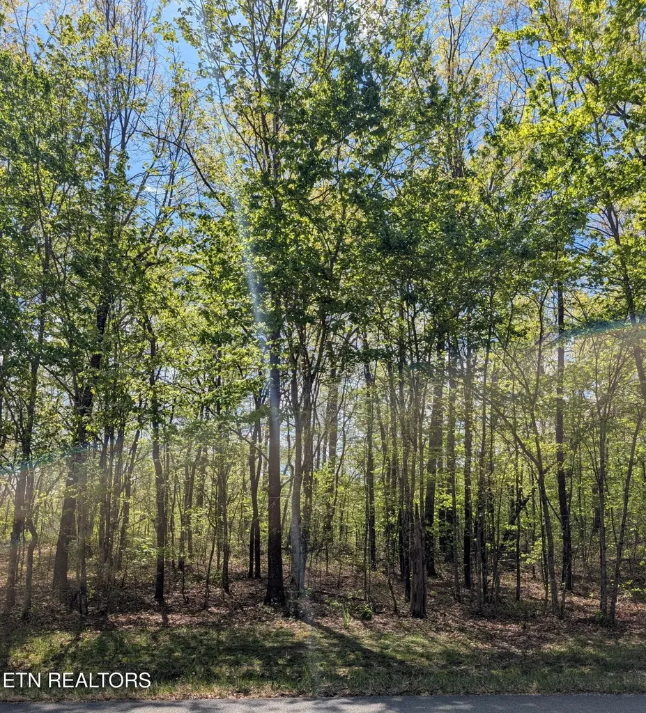 0 Cumberland Lakes Drive Monterey TN 38574