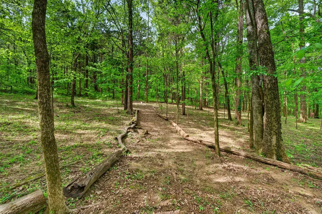 605 Natalie Lane Spring Hill TN 37174