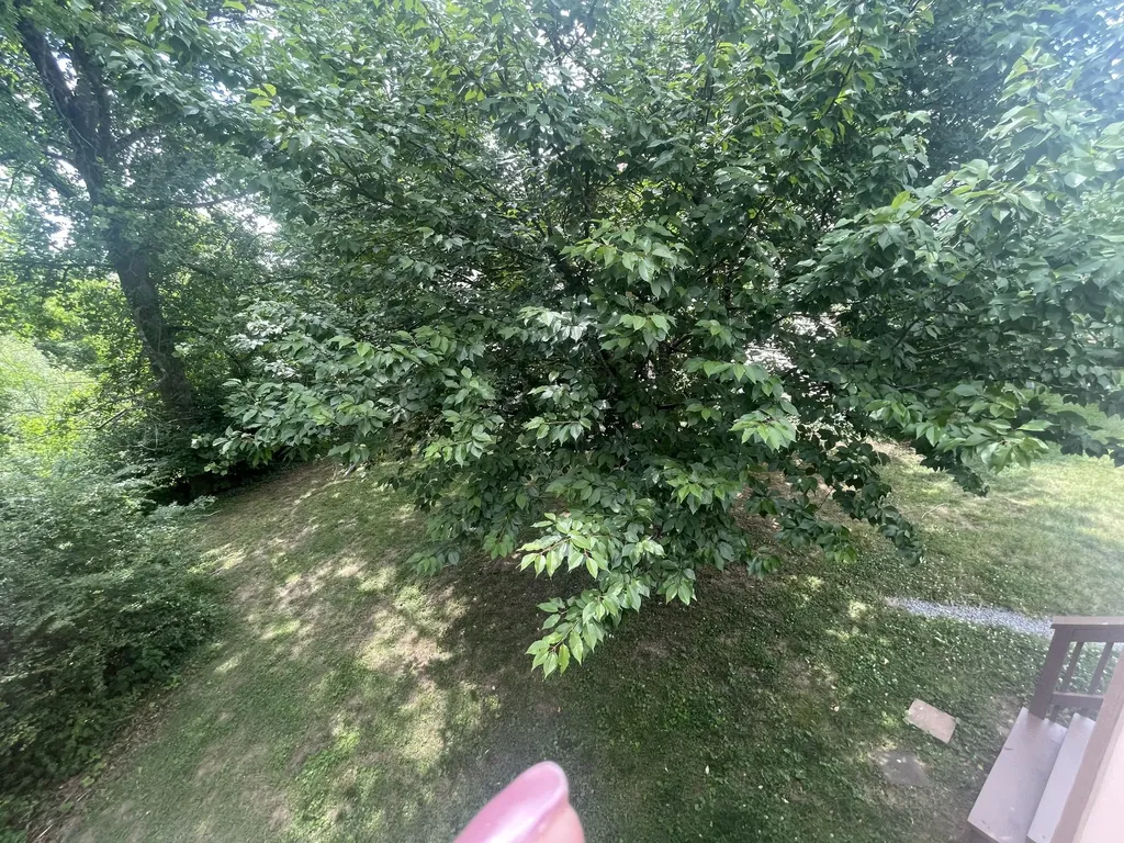 104 Woodfield Court Nashville TN 37211