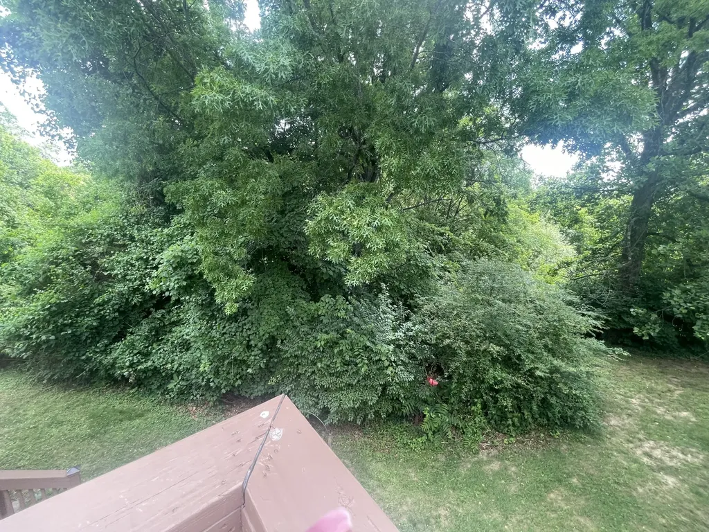 104 Woodfield Court Nashville TN 37211