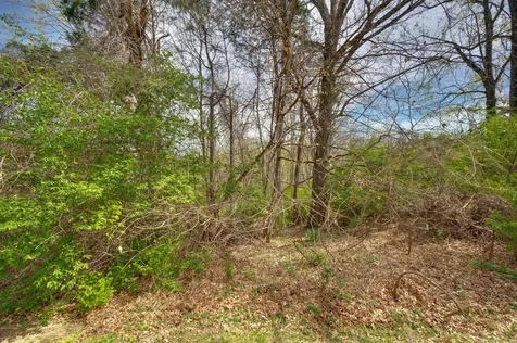 104 Woodfield Court Nashville TN 37211