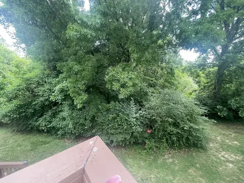 104 Woodfield Court Nashville TN 37211