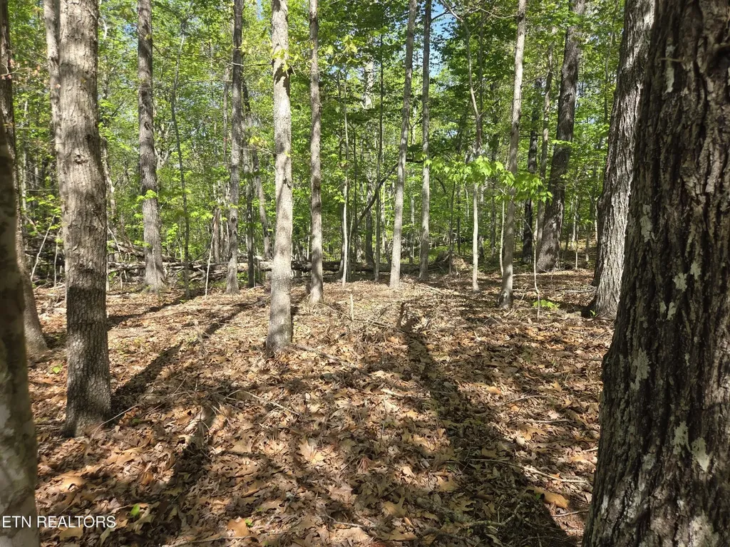 375 Rotherham Drive Crossville TN 38558