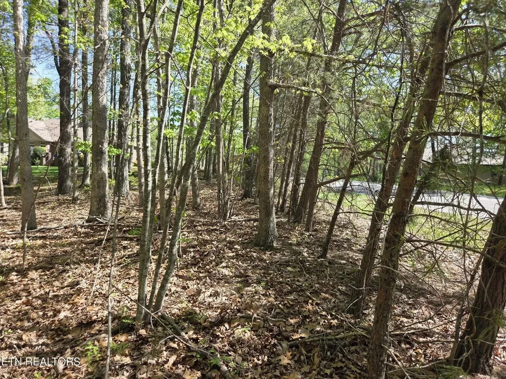 375 Rotherham Drive Crossville TN 38558