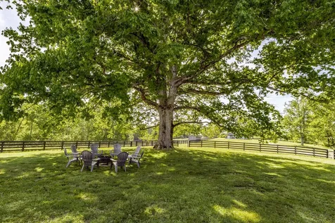 8137 Shoals Branch Road Primm Springs TN 38476