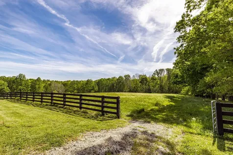 8137 Shoals Branch Road Primm Springs TN 38476