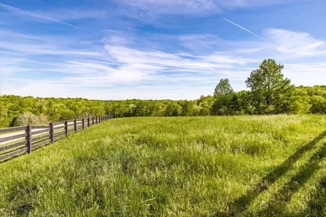 8137 Shoals Branch Road Primm Springs TN 38476