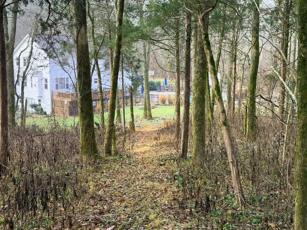 2870 Leonard Creek Lane Arrington TN 37014
