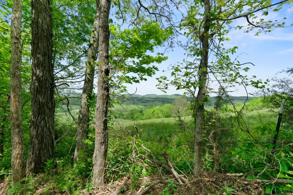 2870 Leonard Creek Lane Arrington TN 37014