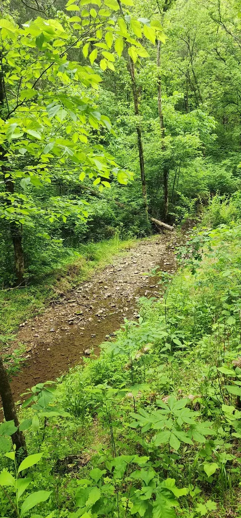 8350 Old Mill Hill Road Dowelltown TN 37059