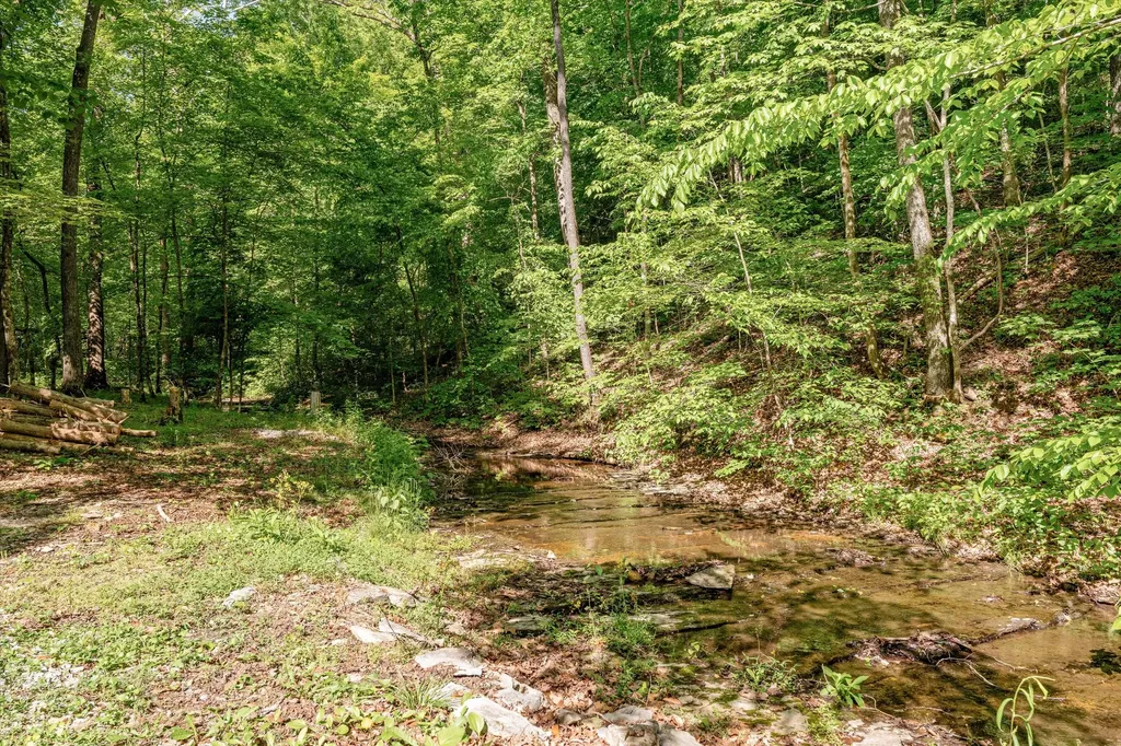 1518 Indian Springs Road Pegram TN 37143
