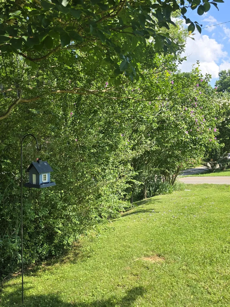 110 Pleasant Drive Columbia TN 38401