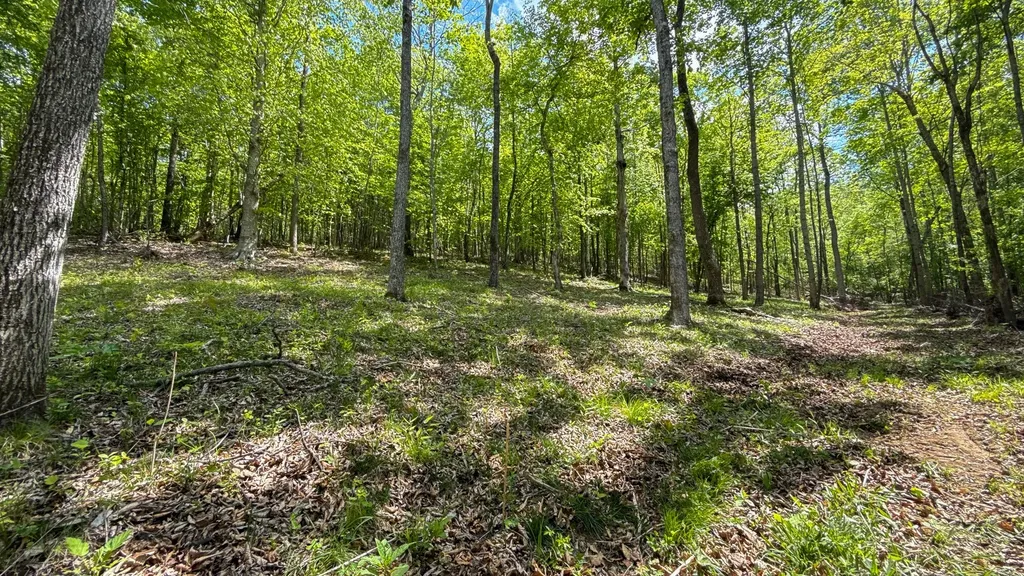 1 Highway 100 Centerville TN 37033