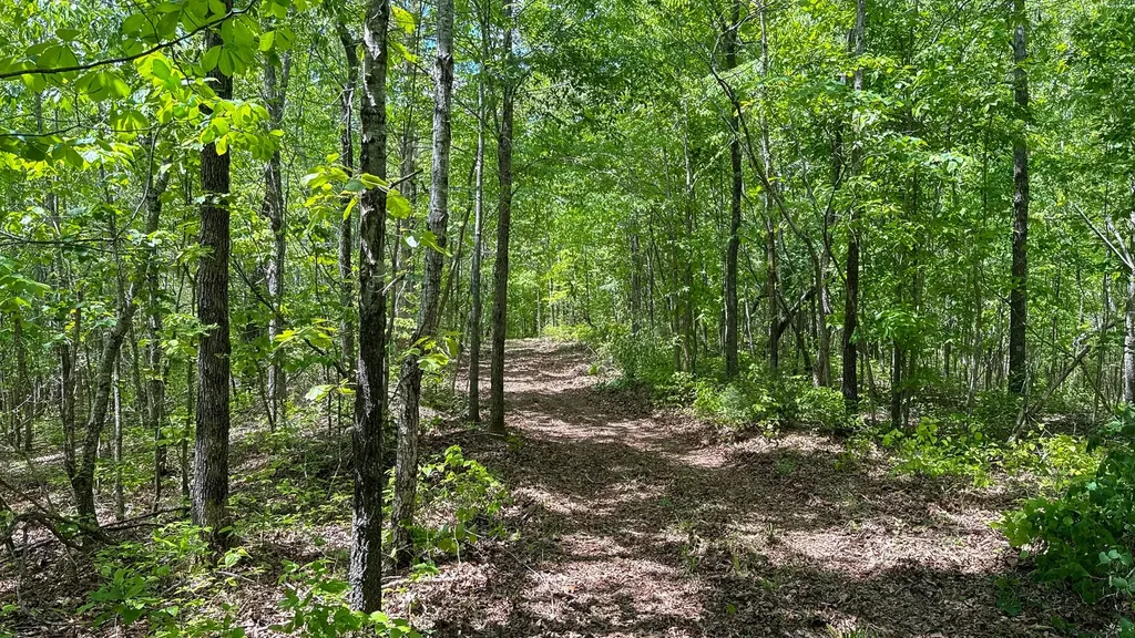 1 Highway 100 Centerville TN 37033