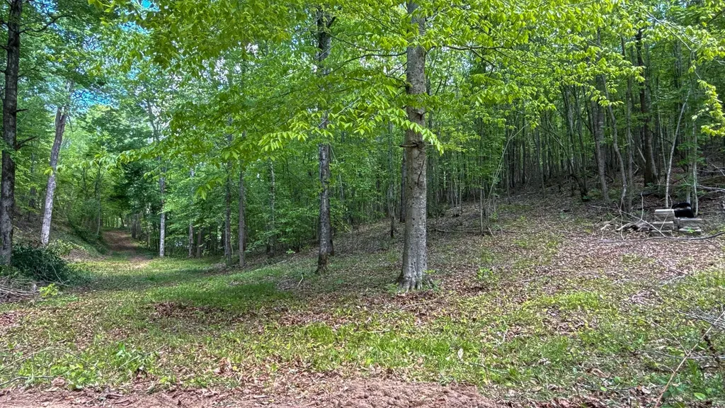 1 Highway 100 Centerville TN 37033