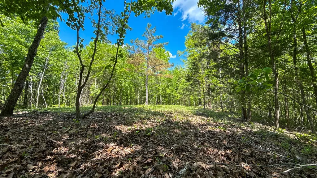 1 Highway 100 Centerville TN 37033