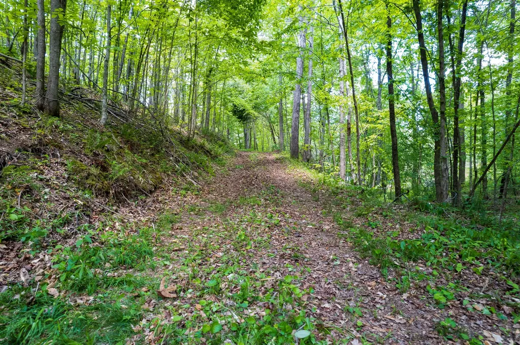 1 Highway 100 Centerville TN 37033