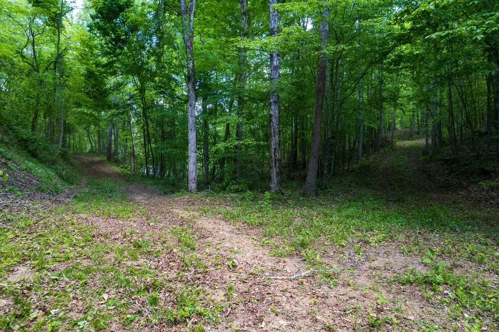 1 Highway 100 Centerville TN 37033