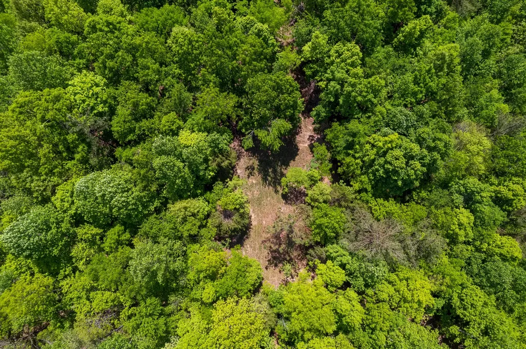 1 Highway 100 Centerville TN 37033