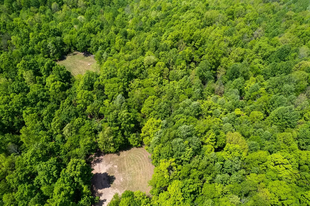 1 Highway 100 Centerville TN 37033