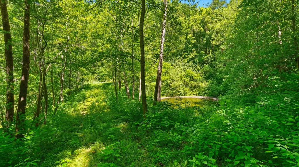 2431 Free State Road Gainesboro TN 38562
