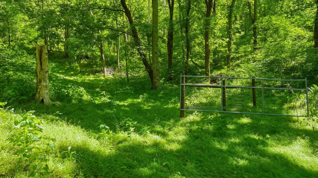 2431 Free State Road Gainesboro TN 38562