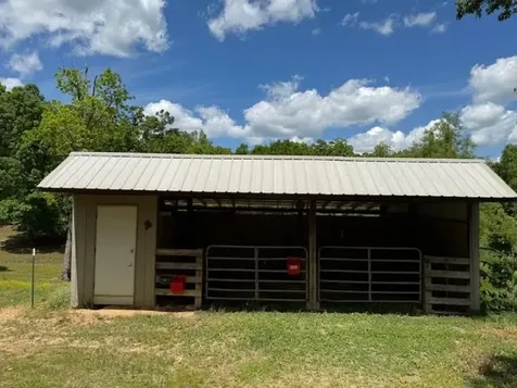 173 Mitchell Street Hohenwald TN 38462